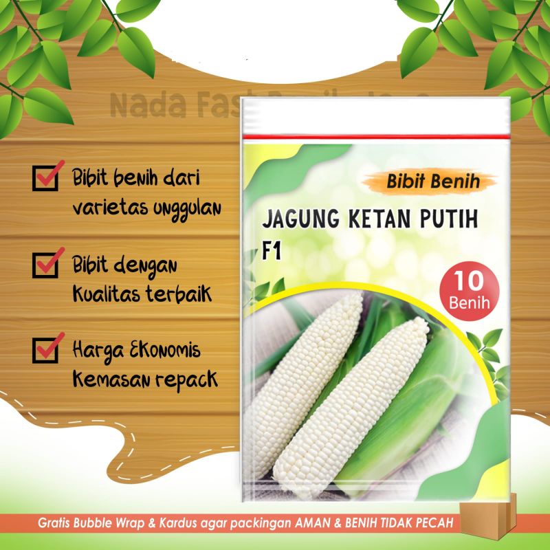 Benih jagung ketan PUTIH 10 biji - bibit jagung putih