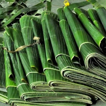 

Daun Pisang 1kg