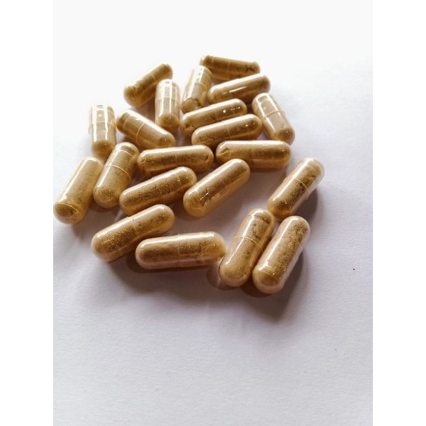 Kapsul kunyit putih asli isi 100