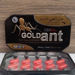 GOLD-ANT ASLI ORIGINAL USA SUPLEMEN PENAMBAH STAMINA PRIA