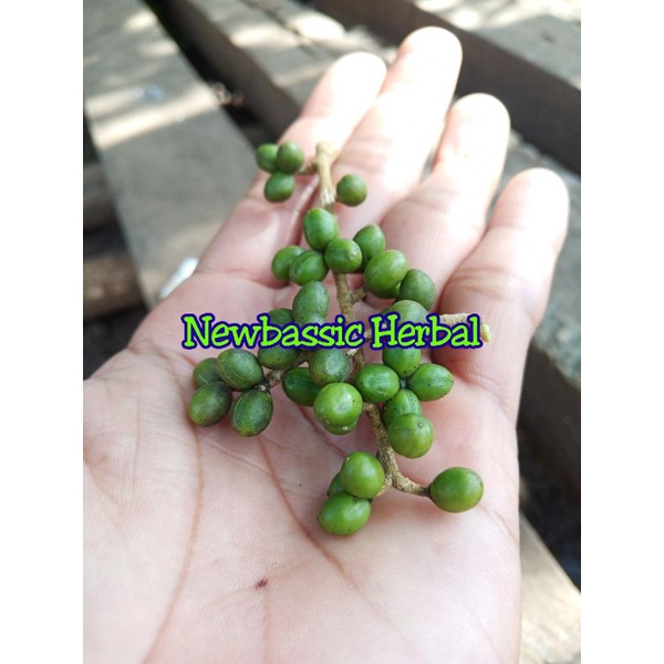 

200 butir buah melur buah makasar