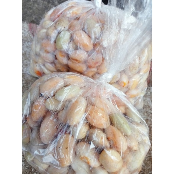 

Kacang Endul Merah