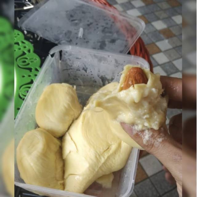 

Durian Montong Palu