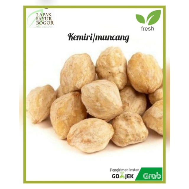 

kemiri rempah rempah bogor