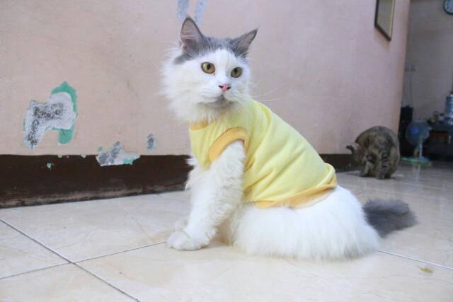 Kaos kuning untuk kucing &amp; anjing /Jual Baju Kucing Terlengkap &amp; Berkualitas size S-XL