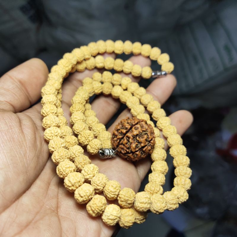 rudraksha jenitri necklace