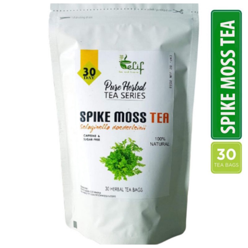 

ELIF TEA SPIKE MOSS TEA : Selaginella doederleinii Leaf Isi 30 Tea Bag