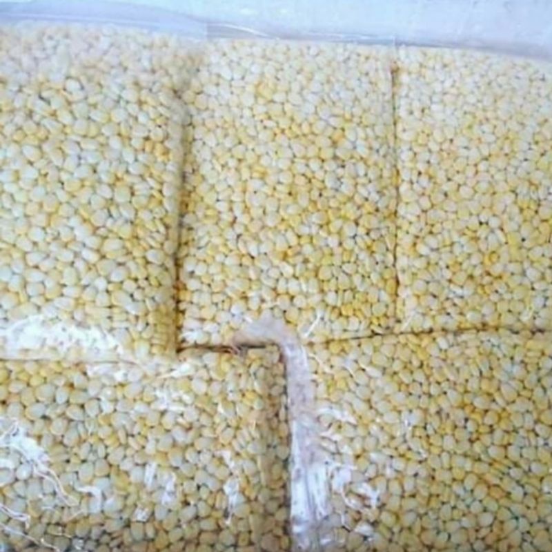 

Jagung manis pipil 1kg