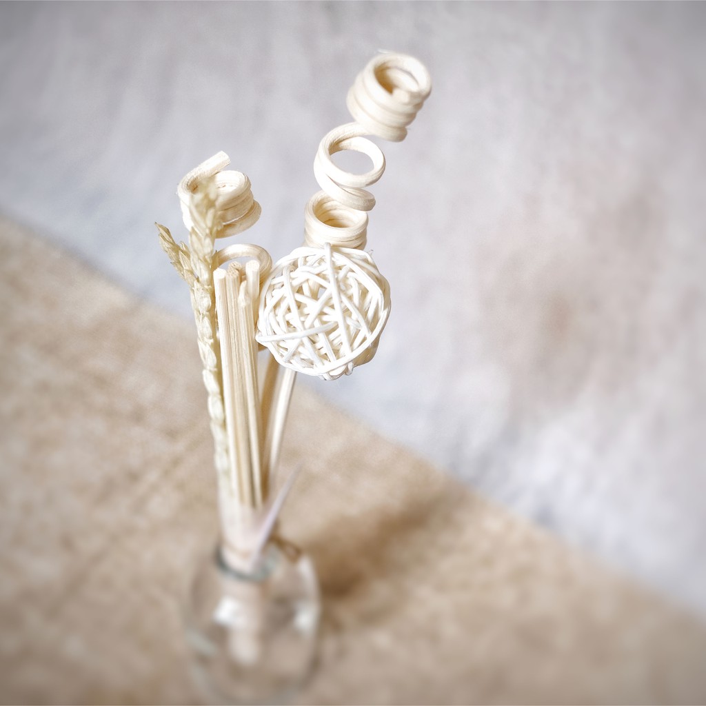 Plumeria Scent Sticks (Stick Reed Diffuser)-2