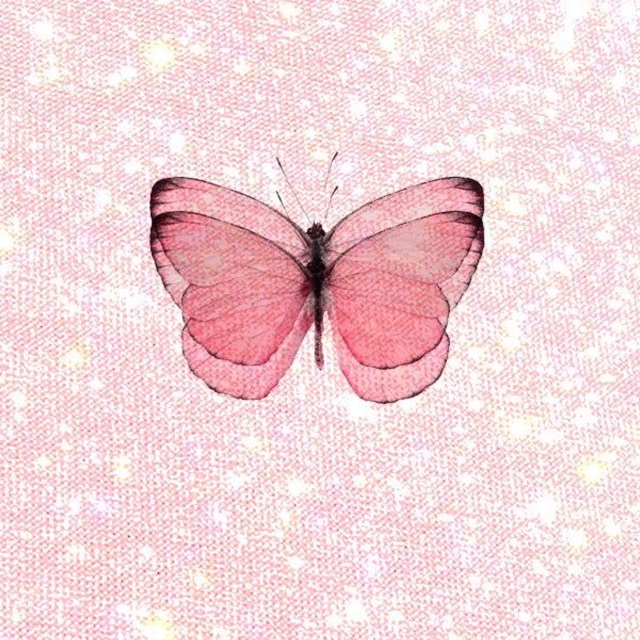 mayzahronuzulailatul08