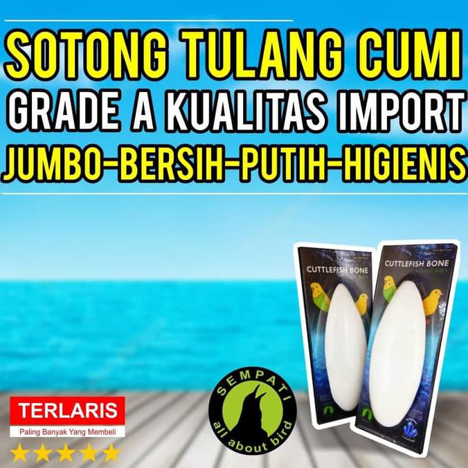 

CUTTLEFISH BONE TULANG SOTONG CANGKANG ASINAN CUMI SUPER JUMBO PREMIUM
