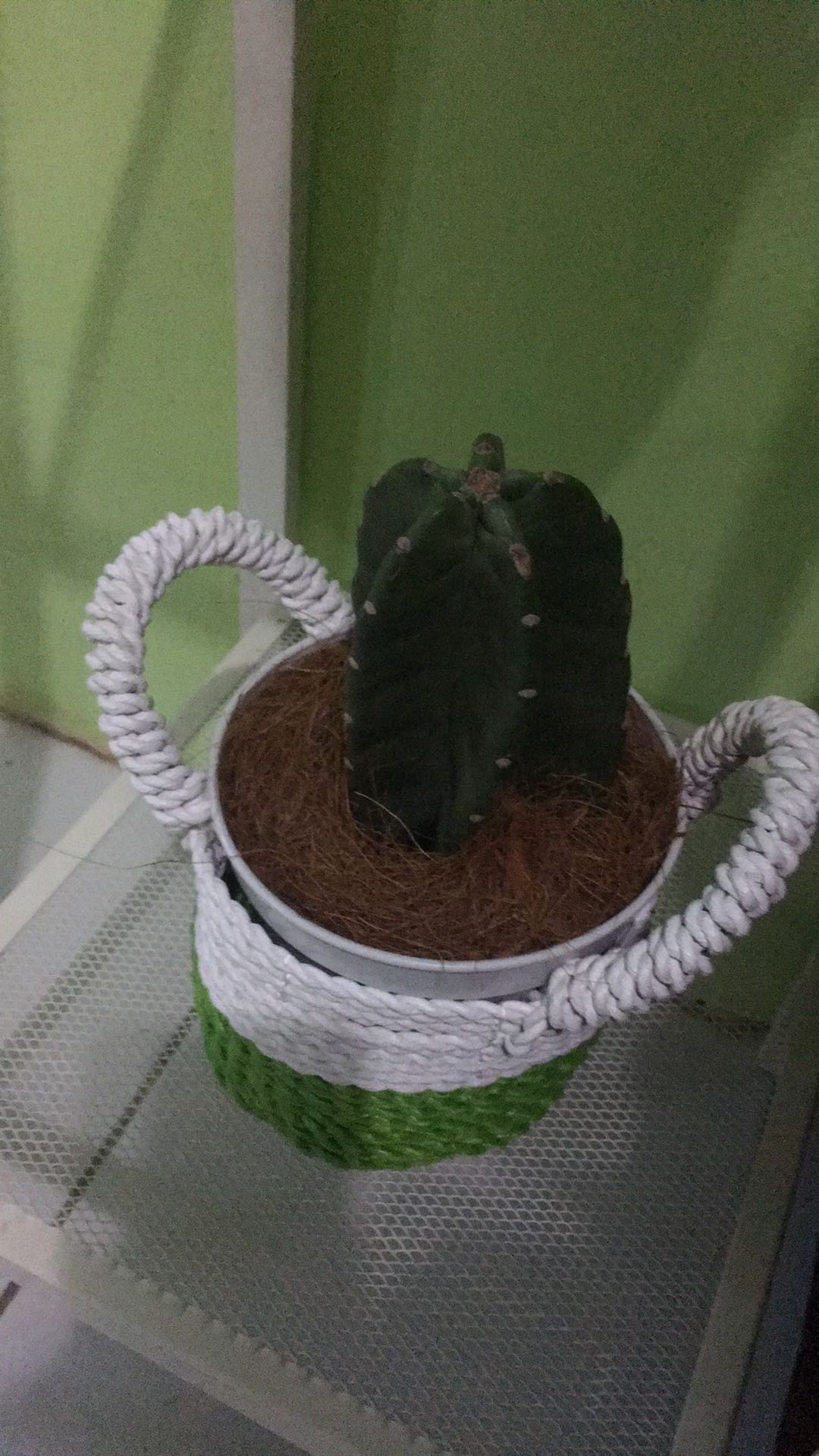 Mini Handel Tenteng Harga Satuan/ Tempat Permen / Cepuk Segrass