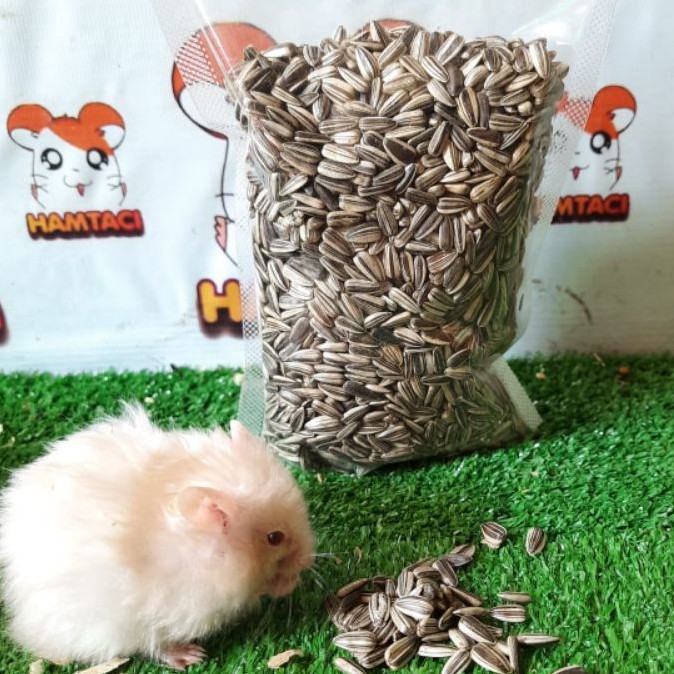 KUACI HITAM SANGRAI 250GR CAMILAN HAMSTER/GERBIL/PENGERAT