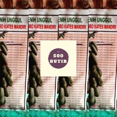 Produk Ready Bibit Pepaya California Ipb9