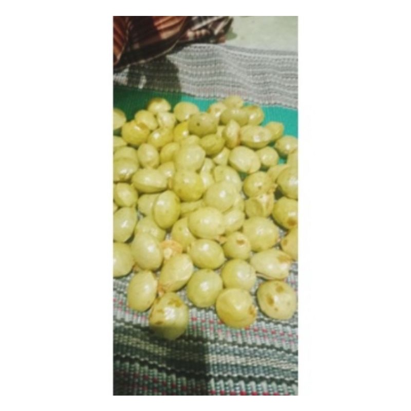 

Jengkol muda lalapan 250gr
