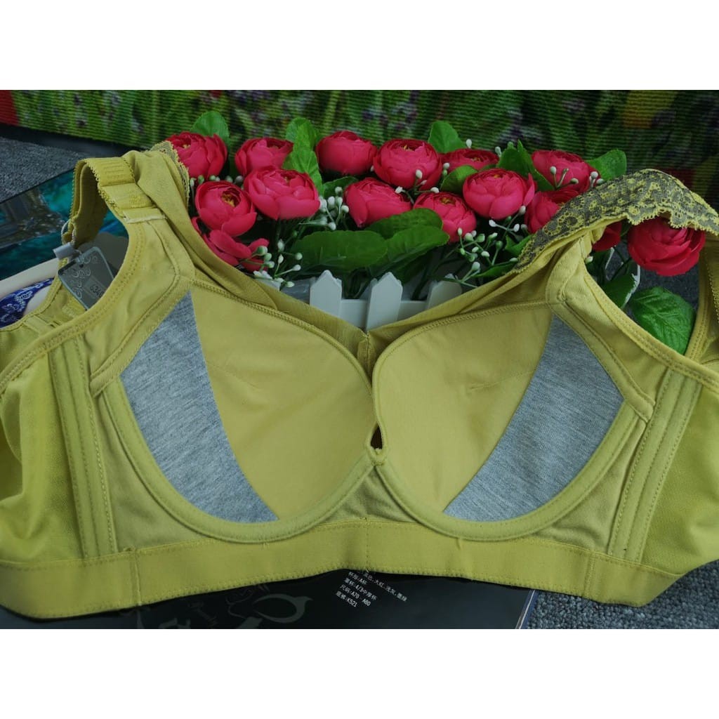 Bra / BH Full Cup Wanita - Import Seri 6340, Kawat &amp; Busa Sedang