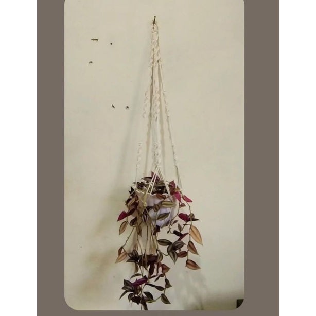 Gantungan Pot Bunga Dari Tali Kur