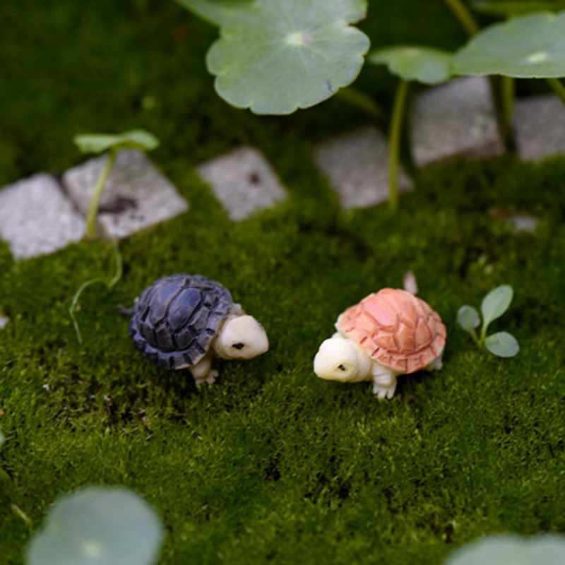 Cre Miniatur Kurakura Untuk Dekorasi Taman Minifairy Garden Diy