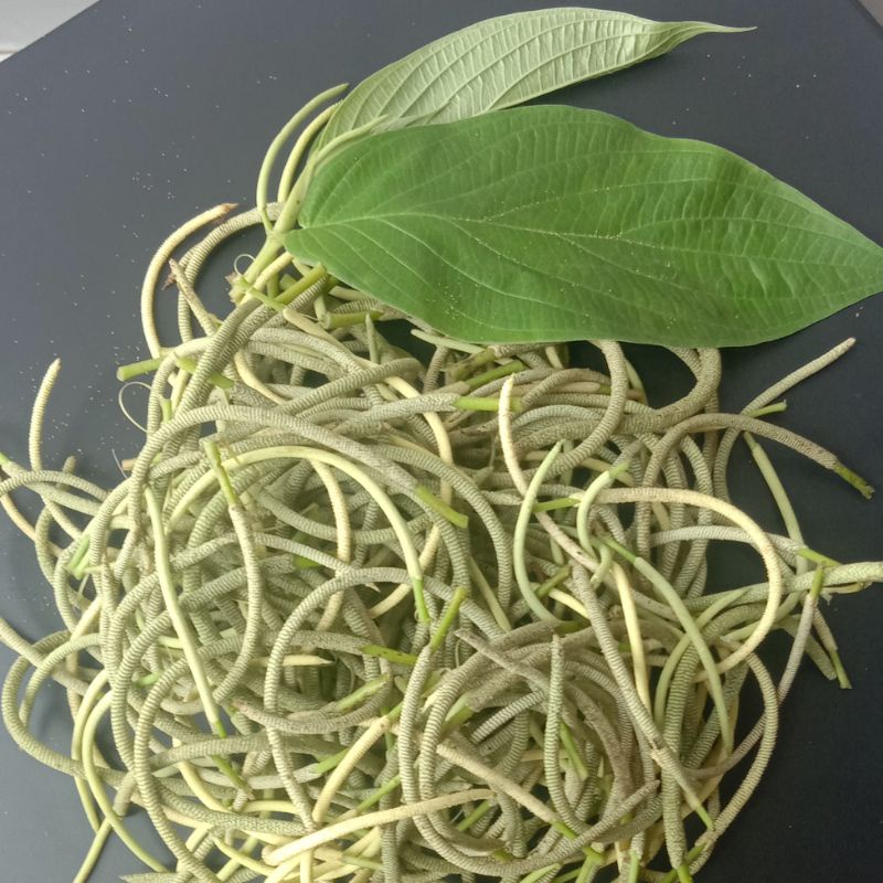 

Buah sirih hutan segar per 100 gram-az