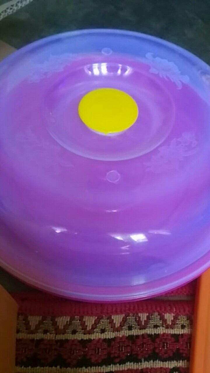 Tempat Bolu / Tempat Kue / Tempat Roti Bulat + Tutup Bening