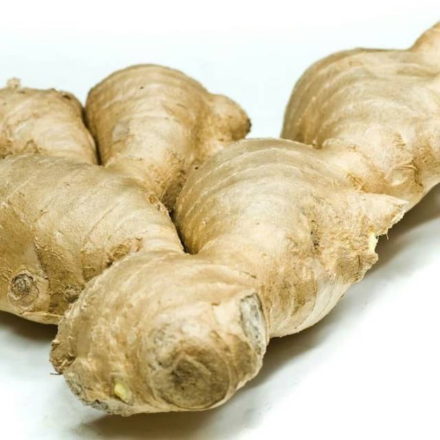 

Jahe Gajah super 100 gram