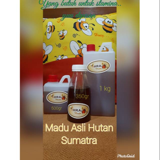 

Madu Asli