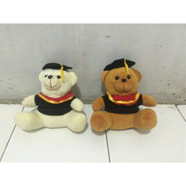 Boneka teddy bear wisuda SNI