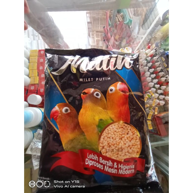 

Miltih(miletputih)EBODJAYA