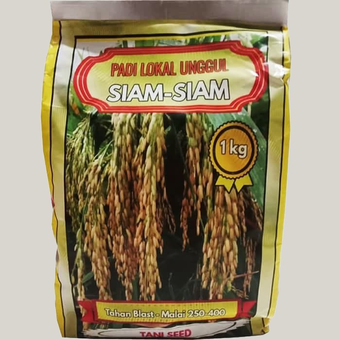 

Benih Padi Siam Siam Per 1 kg