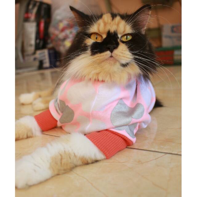 Kaos jumper lope-lope untuk kucing imut / kaos dan baju kucing murah size S M L XL