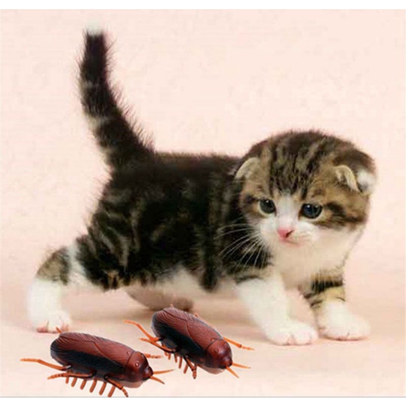 mainan kecoa getar elektrik