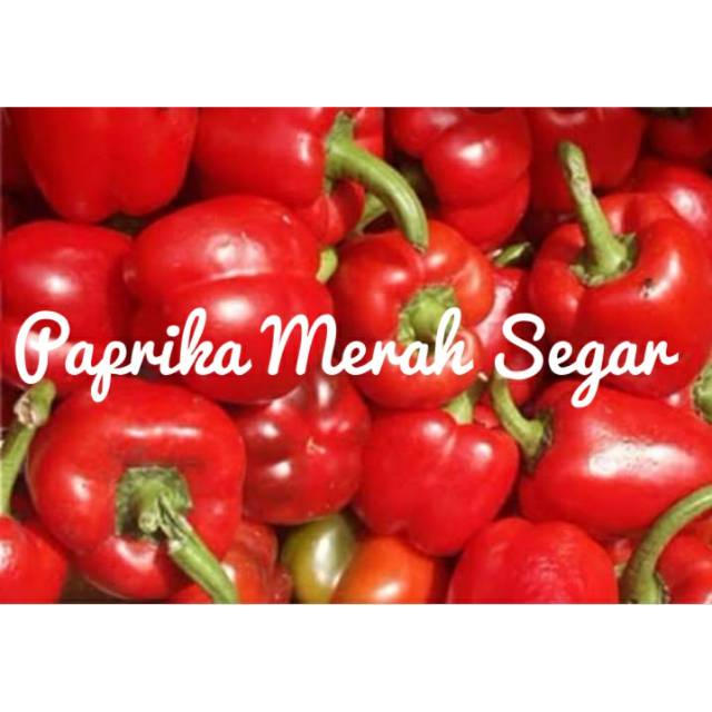 

Paprika Merah, hijau dan kuning Segar 500 gr