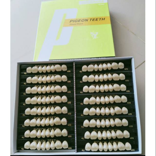 Gigi Palsu Pigeon Posterior (geraham) / gigi tiruan /resin teeth dental