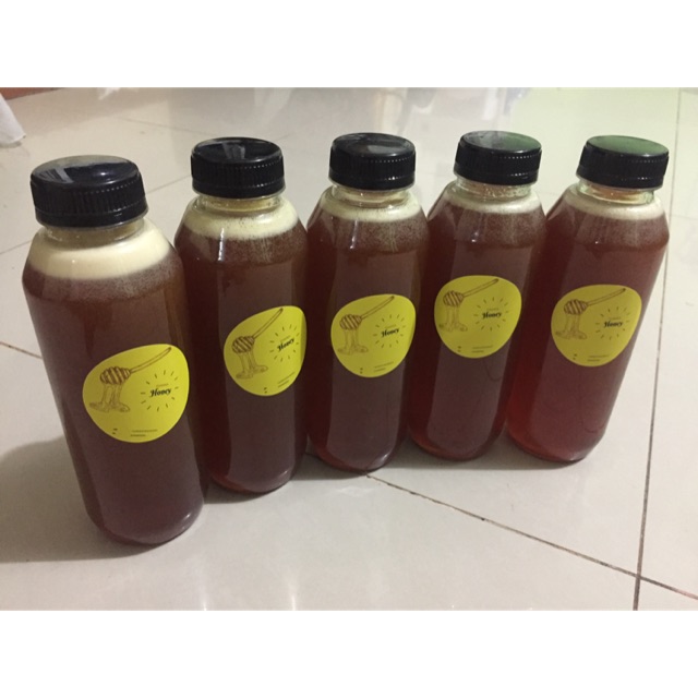 

Madu hutan asli mentawai