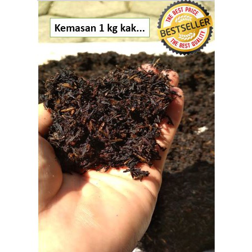 Sekam Bakar Murni 1KG Media Tanam / Sekam Bakar / Sekam