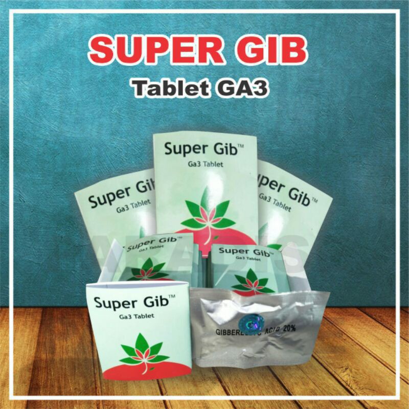 hormon GA3 SUPER GIB suplemen tanaman