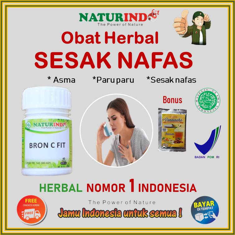 Obat asma sesak nafas napas ampuh herbal anak dewasa batuk berdahak berlendir herbal ampuh