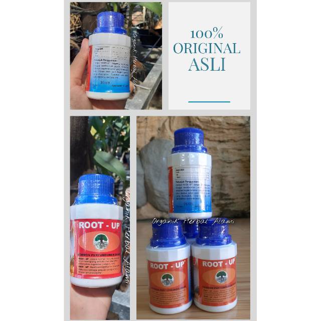 Root Up Penumbuh Akar 100% ASLI