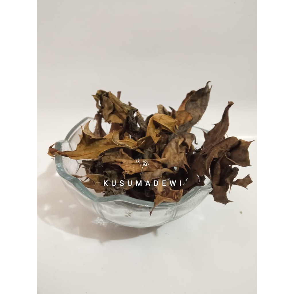 

daun daruju kering 1 kg