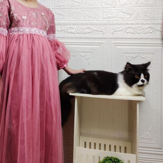 ➹ gamis anak perempuan/gaun muslimah ariqah collection ✲