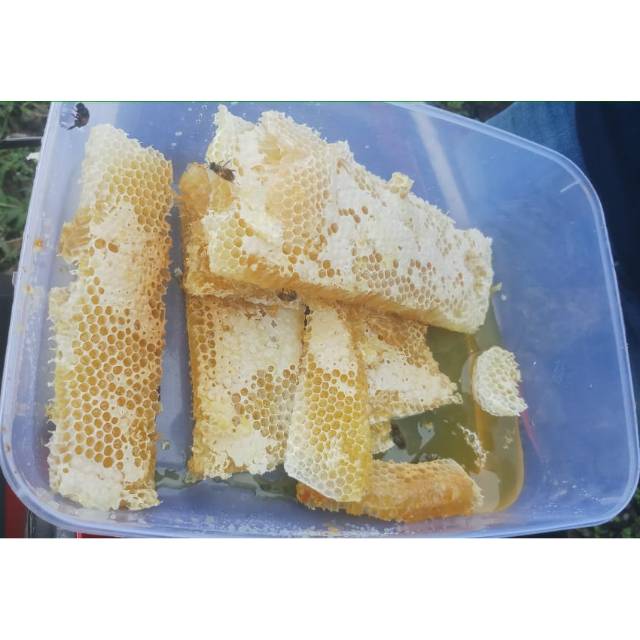 

Madu asli - madu sarang