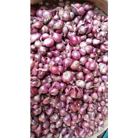 

Bawang Merah / Brambang Wonogiri