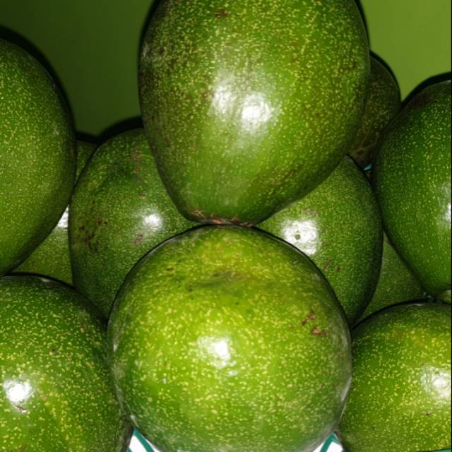 

Alpukat super grade