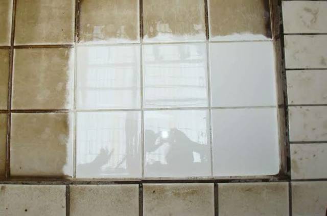 GURILAP FAST CLEANER ORIGINAL / PEMBERSIH LANTAI / PEMBERSIH KERAMIK / PEMBERSIH KERAK LANTAI