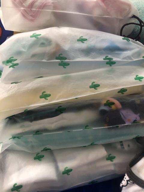 Bossgrosir. Kantong Tas Travel Kaktus Cat