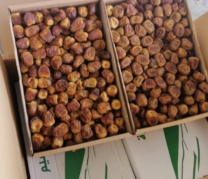 Alat Penggiling Biji Kopi Electric Coffee Grinder Penggiling Portable Gilingan Biji Kopi 150w