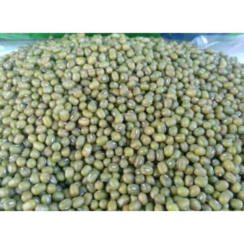 

kacang ijo 250gm