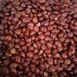 

Jengkol Jepara