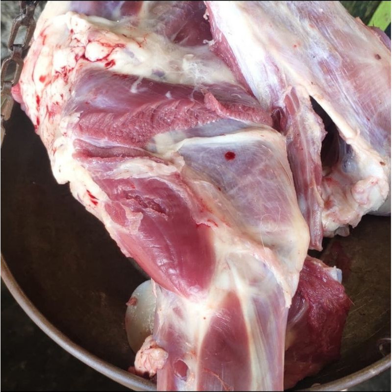 

paha kambing muda fresh BANG SALIM 1000 gram