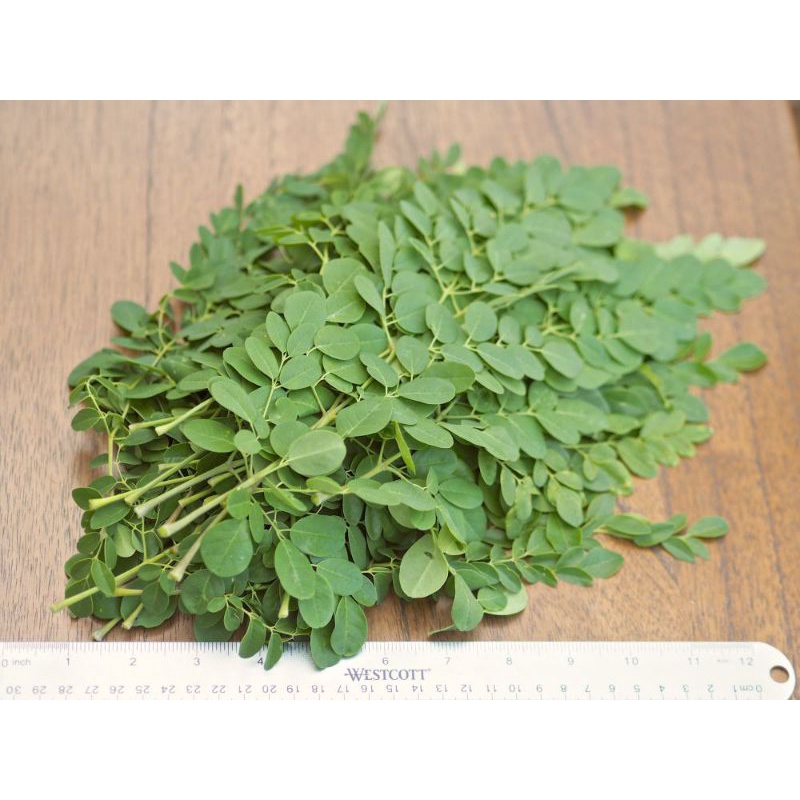 

Daun Kelor / Moringa Oleifera 250g
